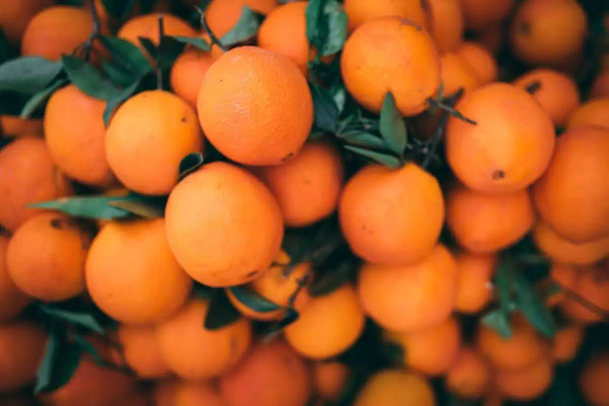 alimentation  peau